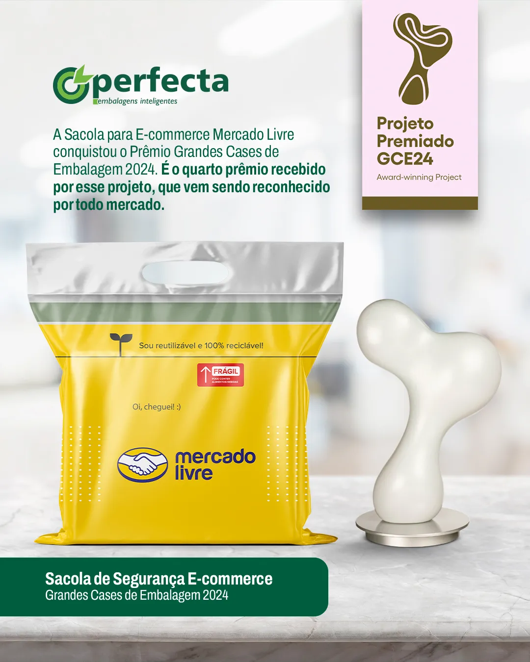 Perfecta conquista Grandes Cases de Embalagem 2024 com a Sacola de Segurança